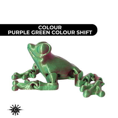 Large Frog Fidget Toy