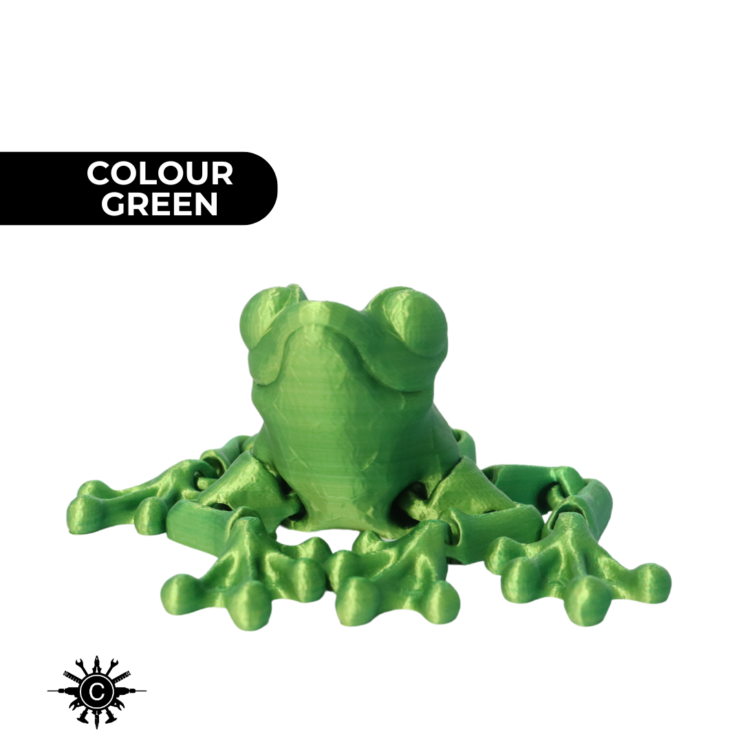 Large Frog Fidget Toy